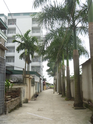 Kiếm bộn tiền từ chung cư mini